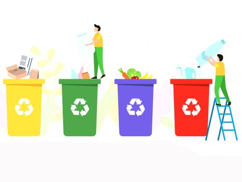 organise bin