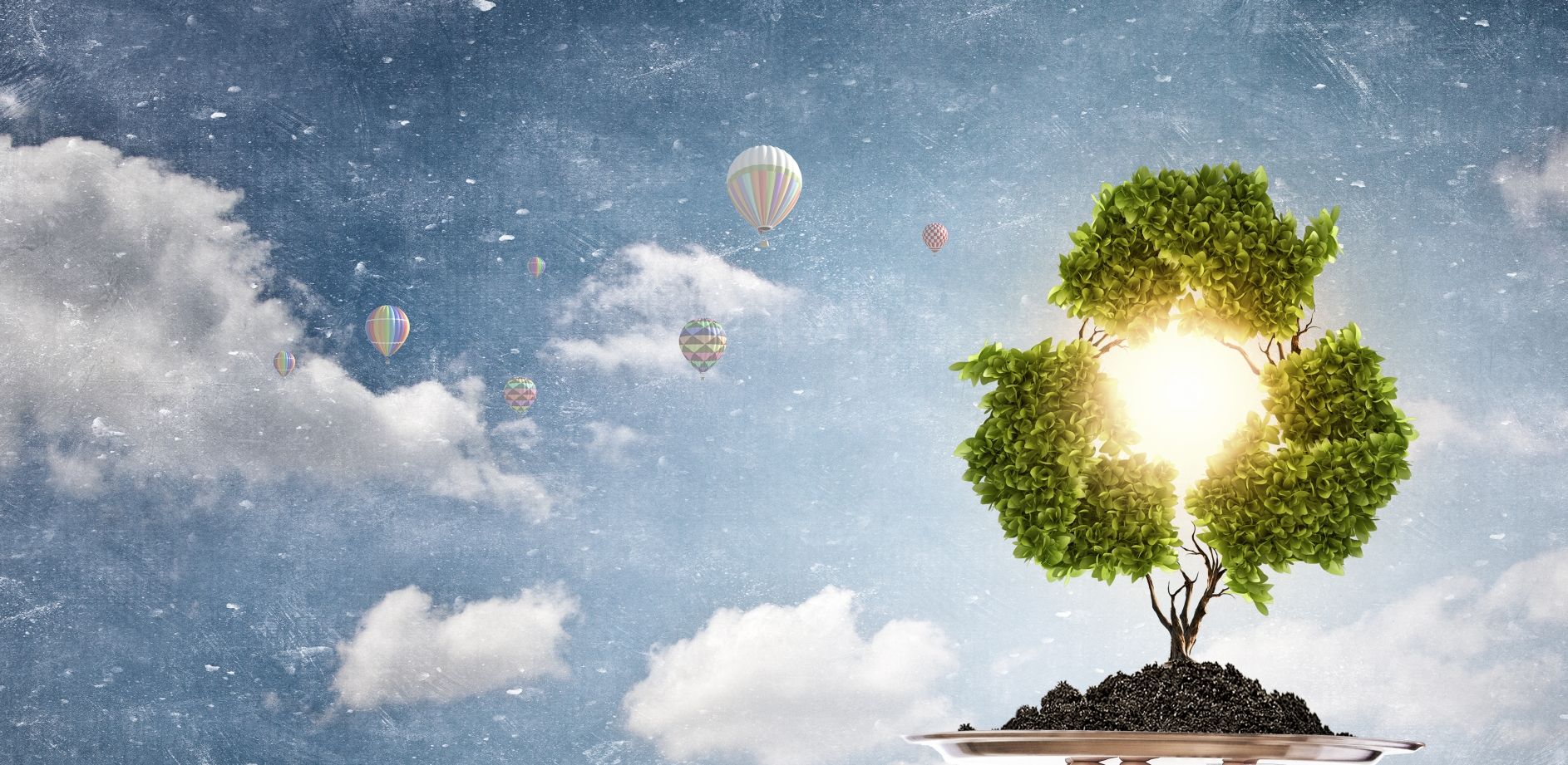 DMC Waste & Recycling Waste Management Cork